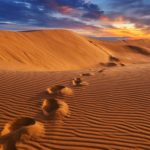 I. Dünya Savaşı’nda Araplar Türkiye’ye Nasıl İhaneti Etti?